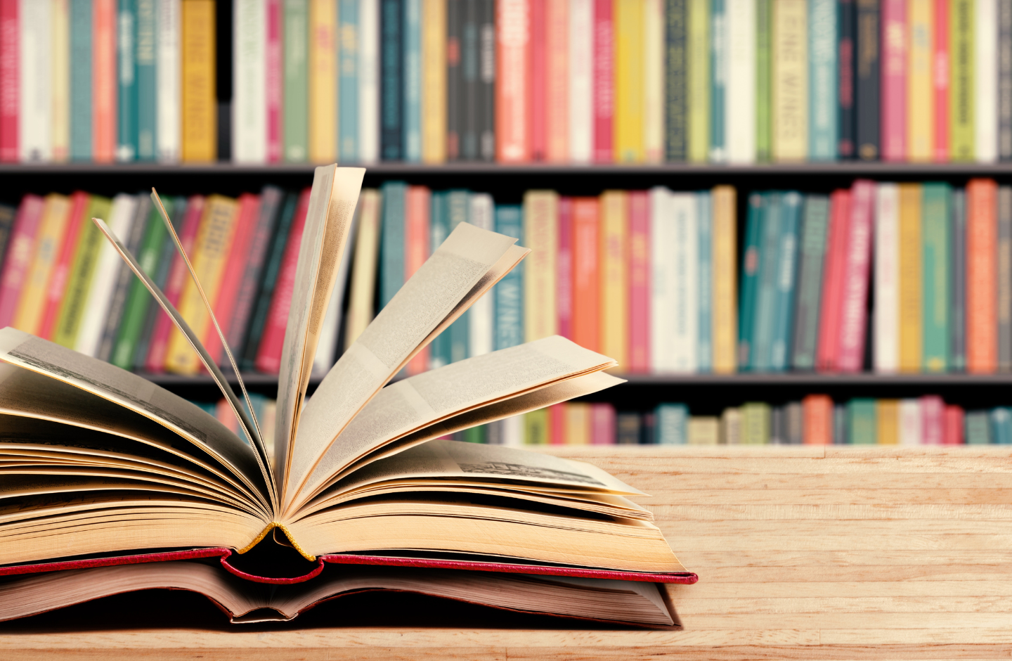 spark me tenderly novel
