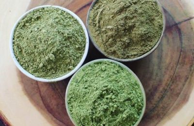Choosing Kratom Varieties That Promote Steady Mental Alertness