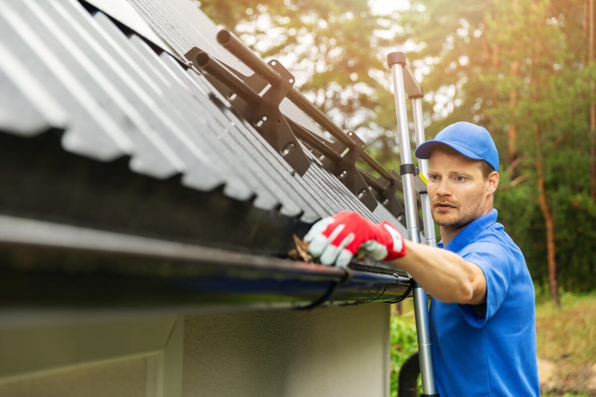 shingle roof guttering roofing